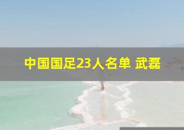 中国国足23人名单 武磊